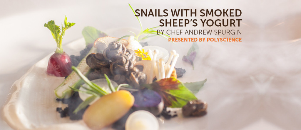 Snails with Smoked Sheep's Yogurt