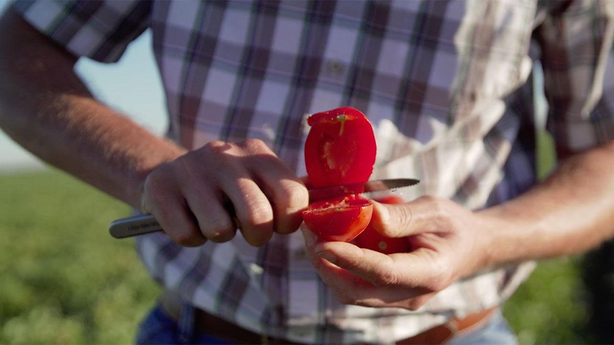 Brand video Stanislaus Tomato Sauce CHEFS ROLL