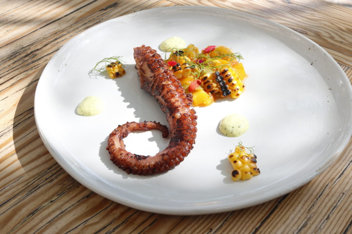Charred Sous Vide Octopus – CHEFS ROLL